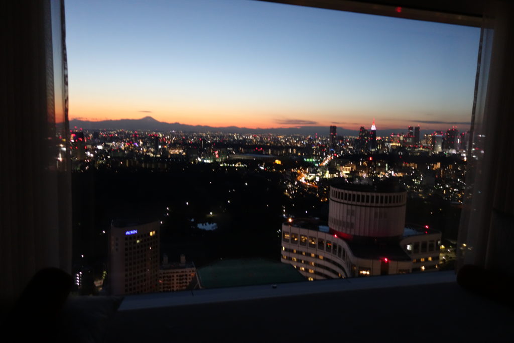 ザ・プリンスギャラリー東京紀尾井町,ラグジュアリーコレクションホテルお部屋からの夜景1